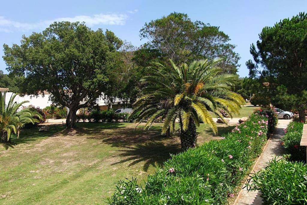 Fiori Di Cala Rossa Appartement T3 Dans Residence Hotelliere Chez Virginie Lecci Exterior photo